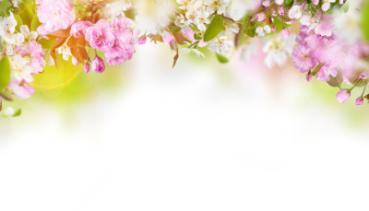 Frühling 003