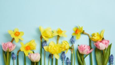 Frühling 010