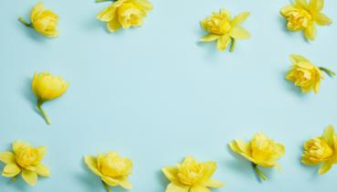 Frühling 011