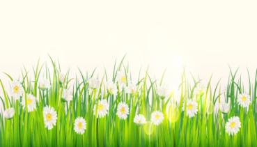 Frühling 012