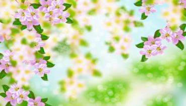 Frühling 020