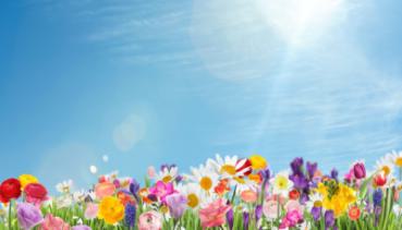 Frühling 023