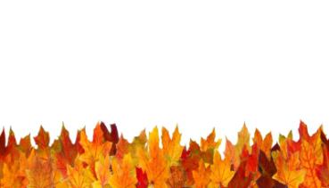 Herbst 005