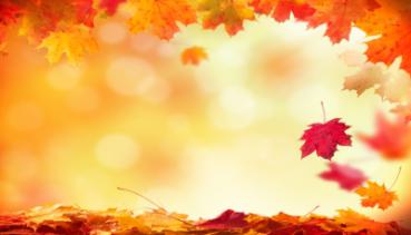 Herbst 007