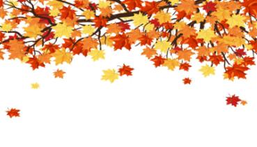 Herbst 008