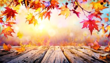 Herbst 012