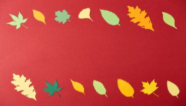 Herbst 013