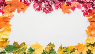 Herbst 016
