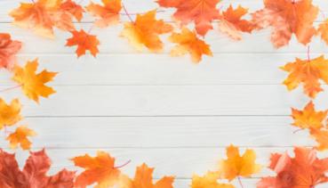 Herbst 017