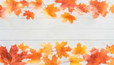 Herbst 018