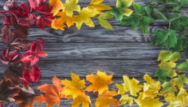 Herbst 019