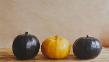 Herbst 021