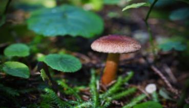 Herbst 026