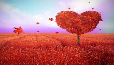 Liebe 004