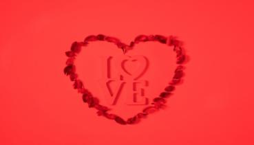 Liebe 007
