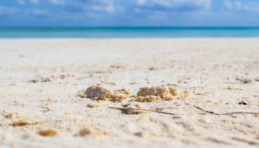 Meer 021