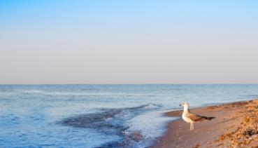 Meer 022
