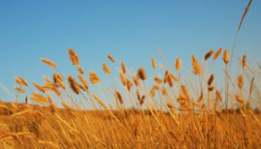 Natur 002