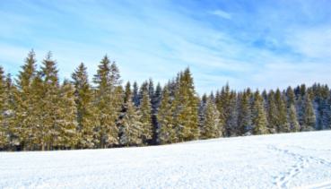 Natur 005
