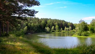 Natur 017
