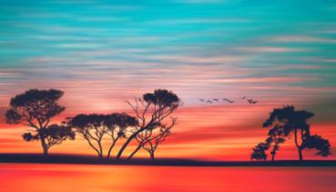 Natur 023