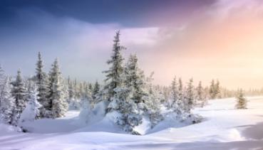 Natur 025