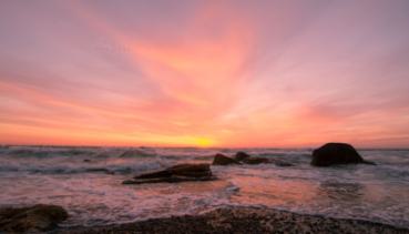 Natur 033