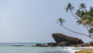 Natur 035