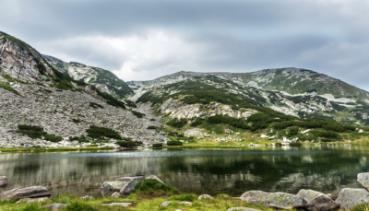Natur 041