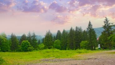 Natur 045