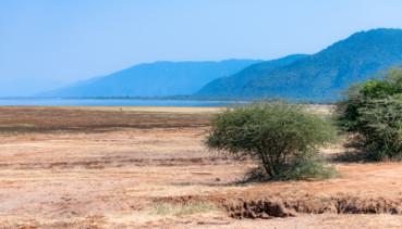 Natur 046