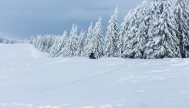 Natur 051