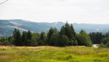 Natur 053
