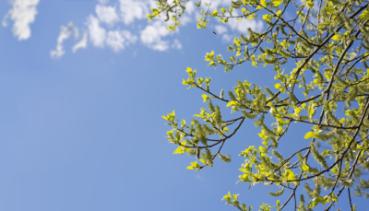 Natur 057