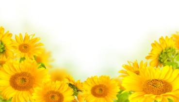 Sommer 006