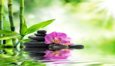 Spa 006