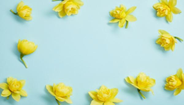 Frühling 011