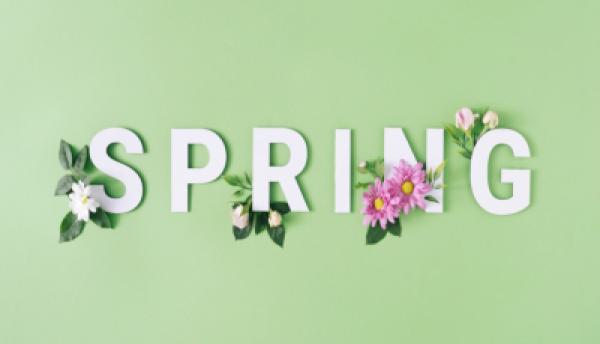 Frühling 022