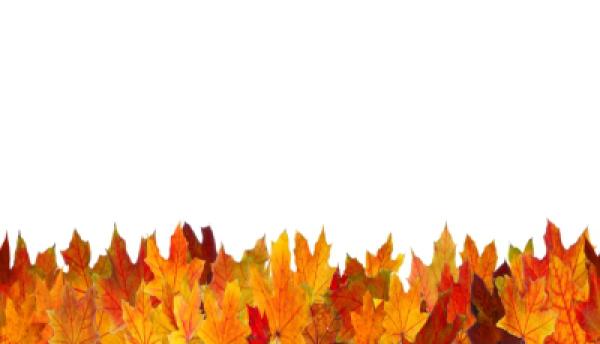 Herbst 005