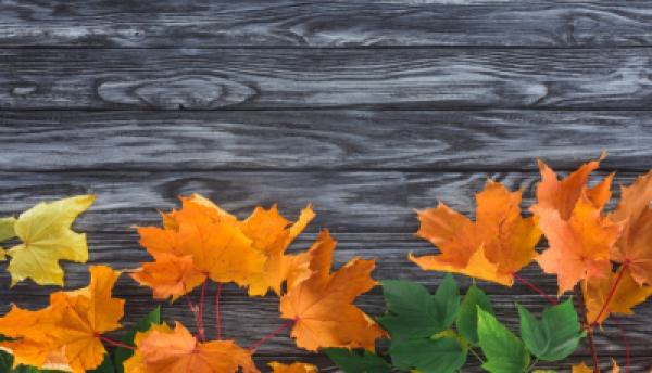 Herbst 020