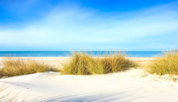 Meer 003
