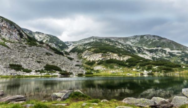 Natur 041